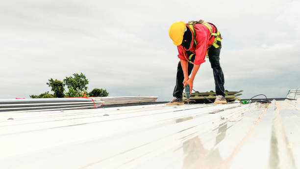 Best Metal Roofing Installation  in Hermosa Beach, CA