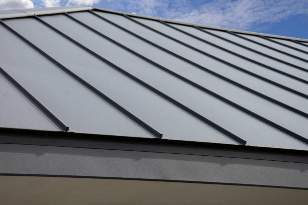 Best Skylight Installation and Repair  in Hermosa Beach, CA
