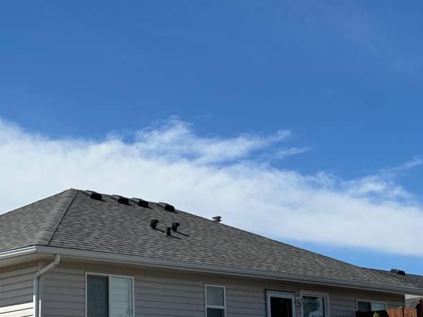 Trusted Hermosa Beach, CA Roofing Services Experts